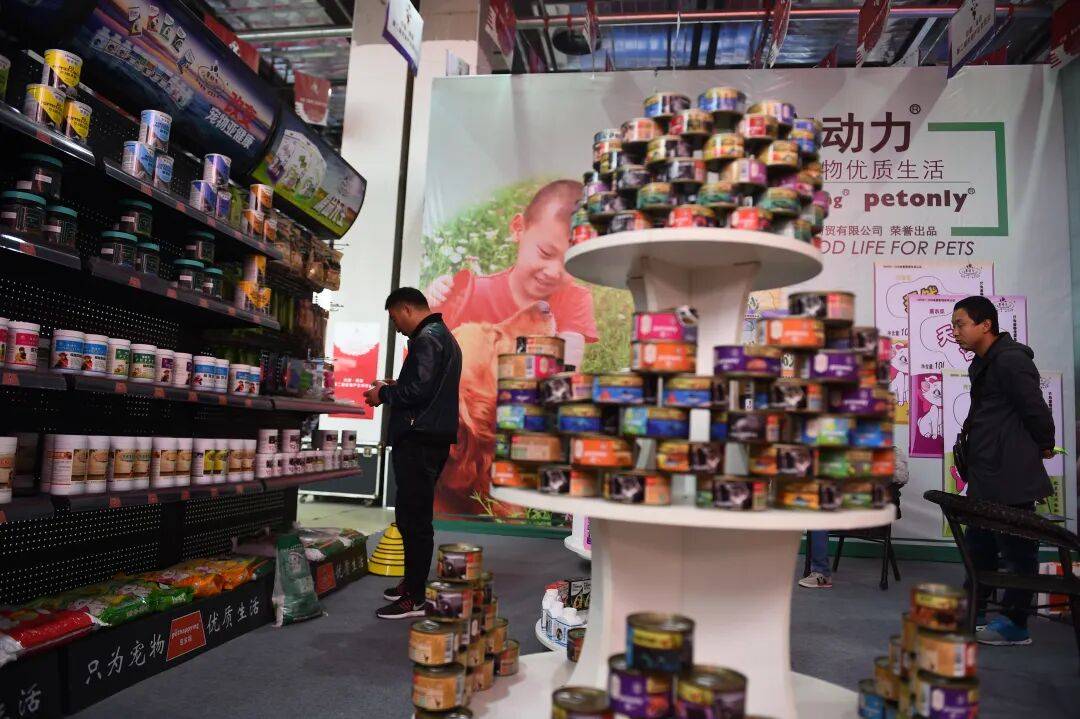 全国一半的猫和狗河北农业县大逆袭！PG电子游戏麻将胡了年入百亿喂饱了(图4)