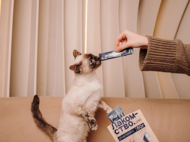 opet宠物零食以昆虫蛋白开辟全新赛道PG麻将胡了模拟器中俄联合品牌cosm(图2) opet宠物零食以昆虫蛋白开辟全新赛道PG麻将胡了模拟器中俄联合品牌cosm(图2)