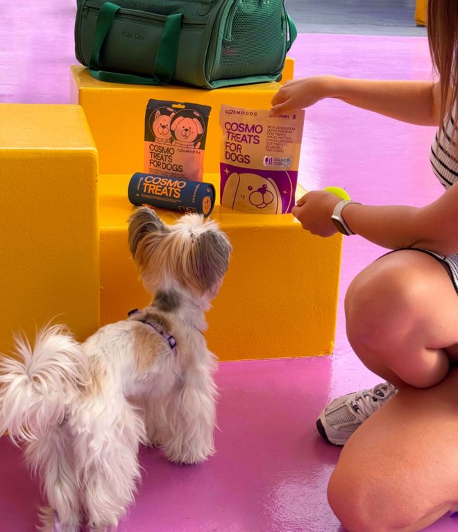 opet宠物零食以昆虫蛋白开辟全新赛道P