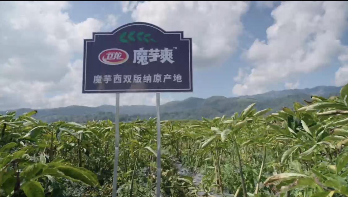 纤维爆表：魔芋爽为何成Z世代心中零食顶流？麻将胡了2模拟器试玩热量不到苹果一半膳食(图4)